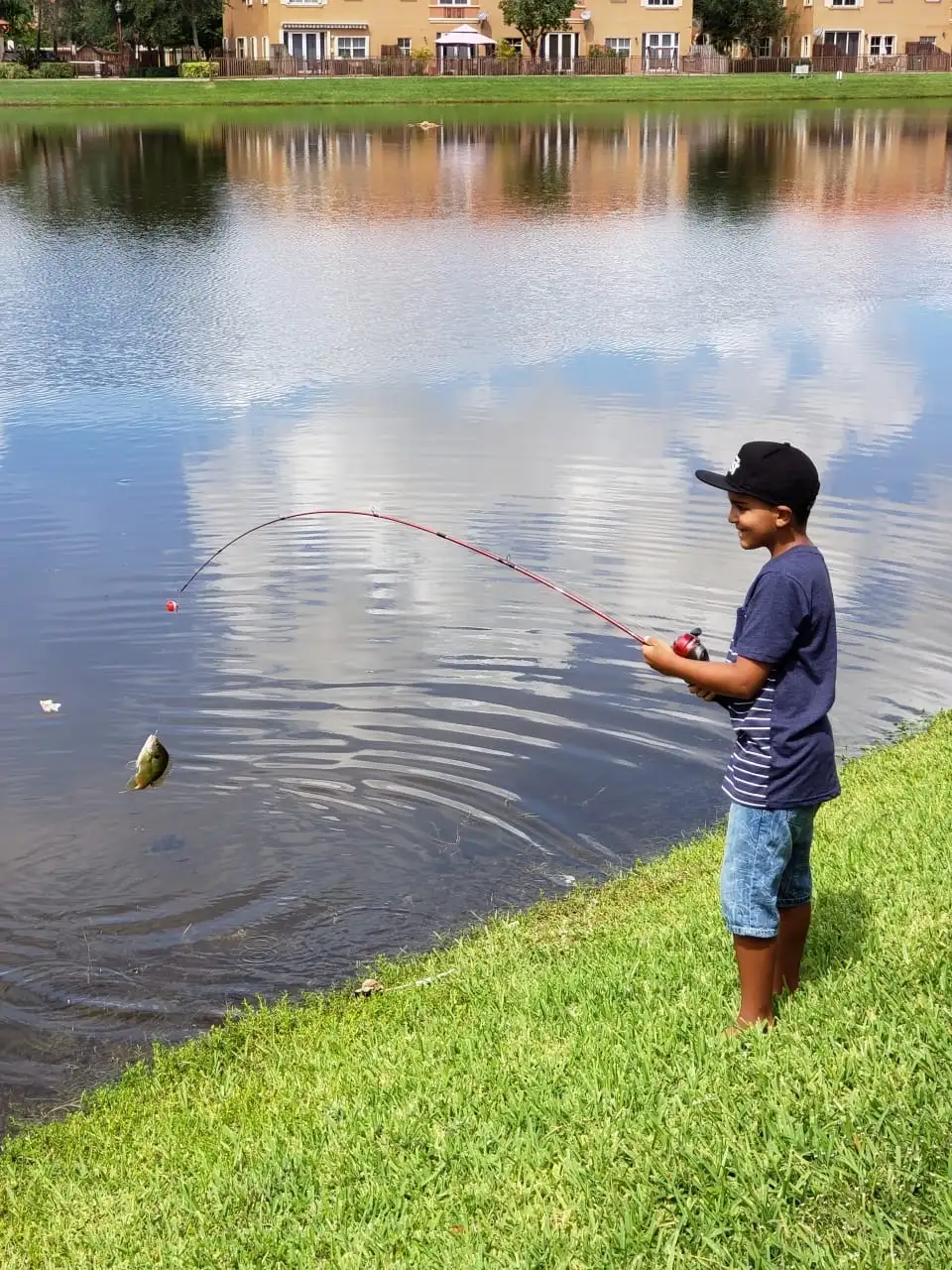 A boy watching his fishing line bend as a small fish is pulled from a still lake